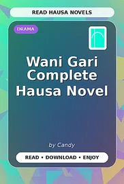 Wani Gari Complete Hausa Novel
