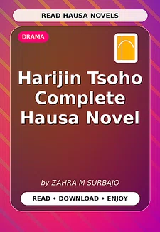 Harijin Tsoho Complete Hausa Novel